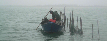 pesca tradizionale Laguna di Venezia
